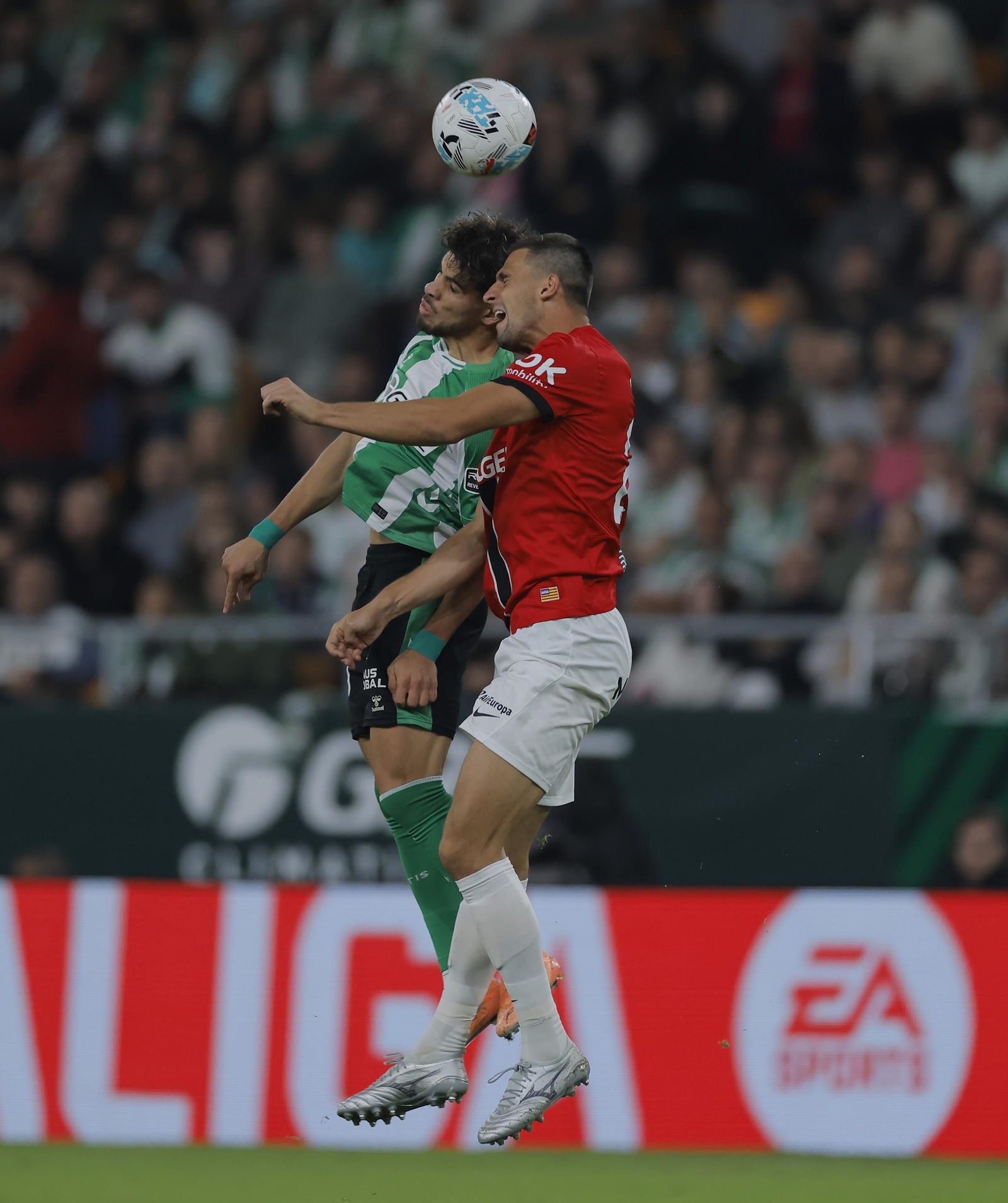 Las fotos del Betis - Mallorca