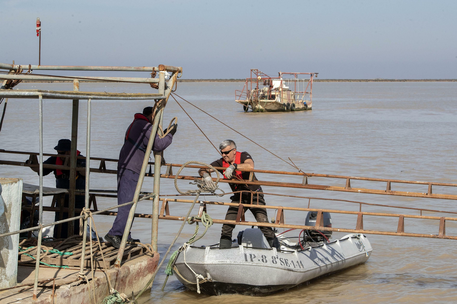 Operación Ave  fenix contra la pesca  de la angula