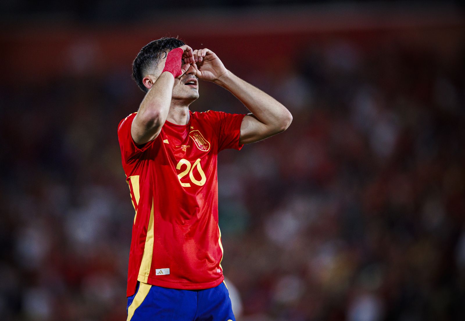 España-Irlanda del Norte