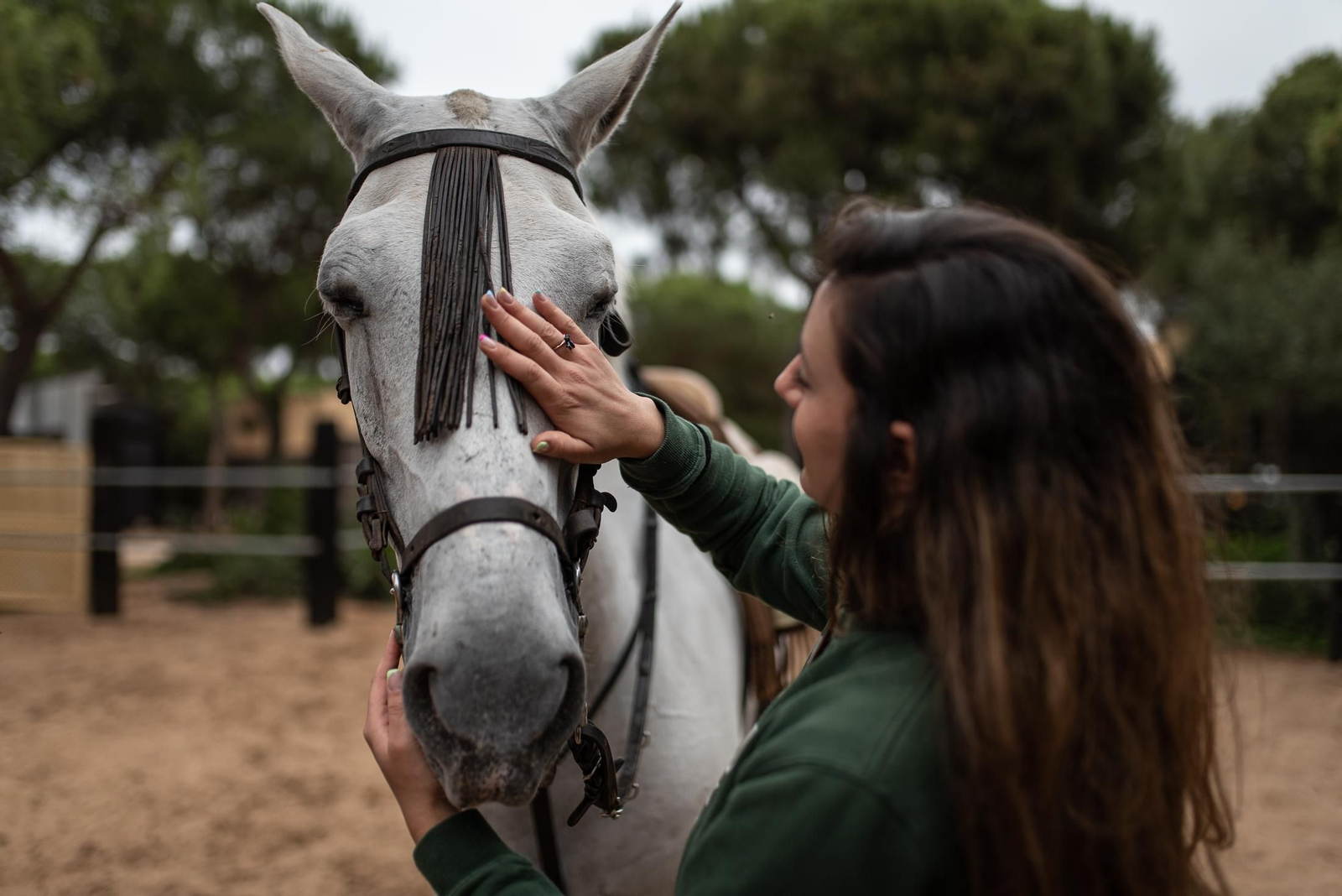 Un paseo a caballo por Doñana en imágenes