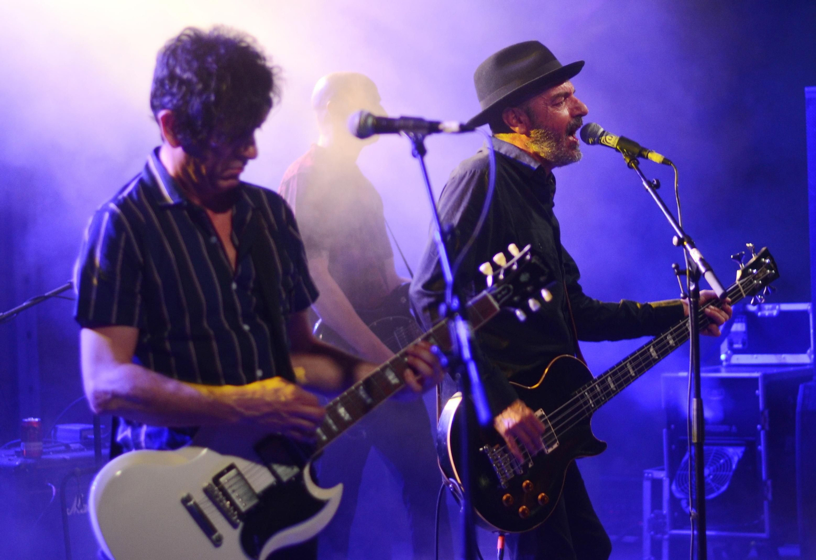 Lagartija Nick en el CAAC.