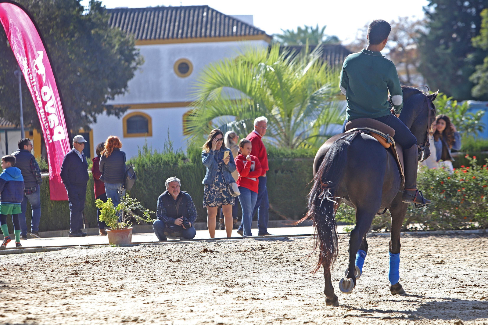 XVII Campeonato de Andalucía de Doma de Alta Escuela