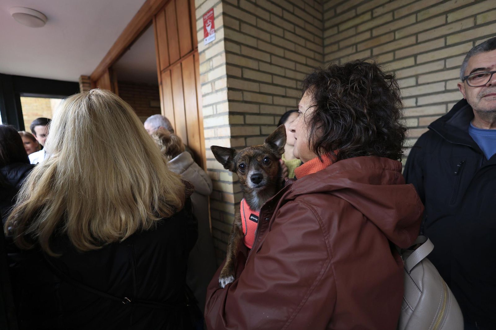 Las fotografías de la bendición de las mascotas por San Antón 2026