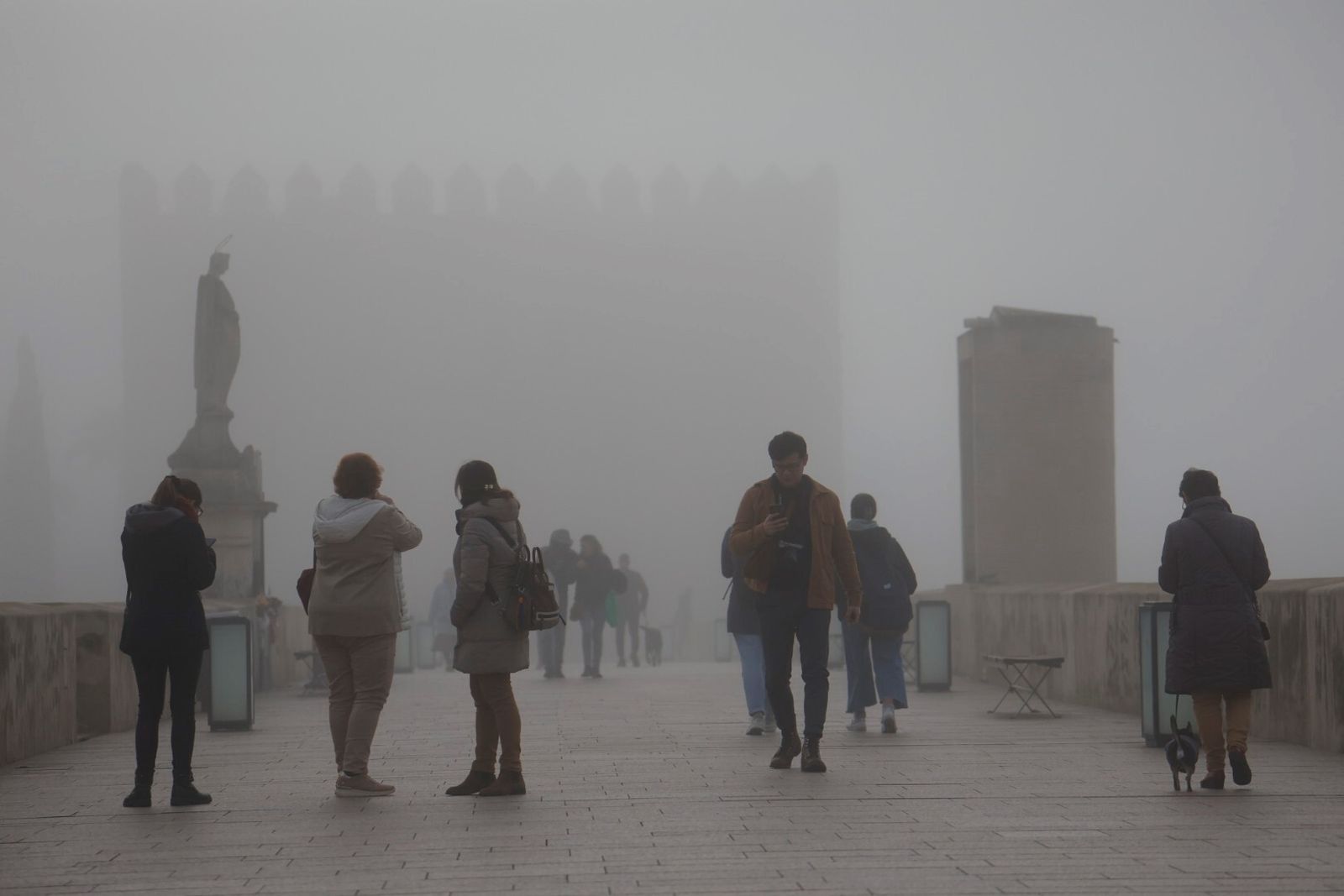 Córdoba comienza la semana cubierta de niebla, en imágenes