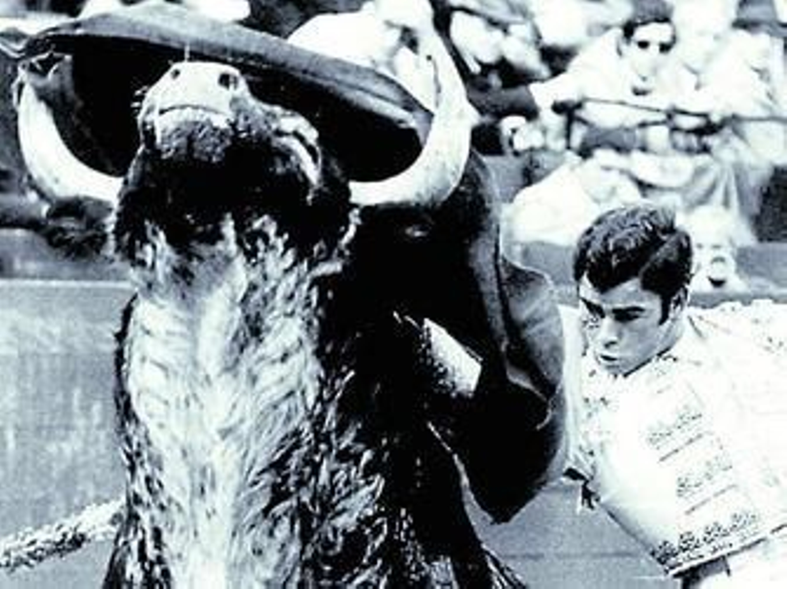 1984Avispado acaba con la vida de Paquirri en la plaza de toros de Pozoblanco