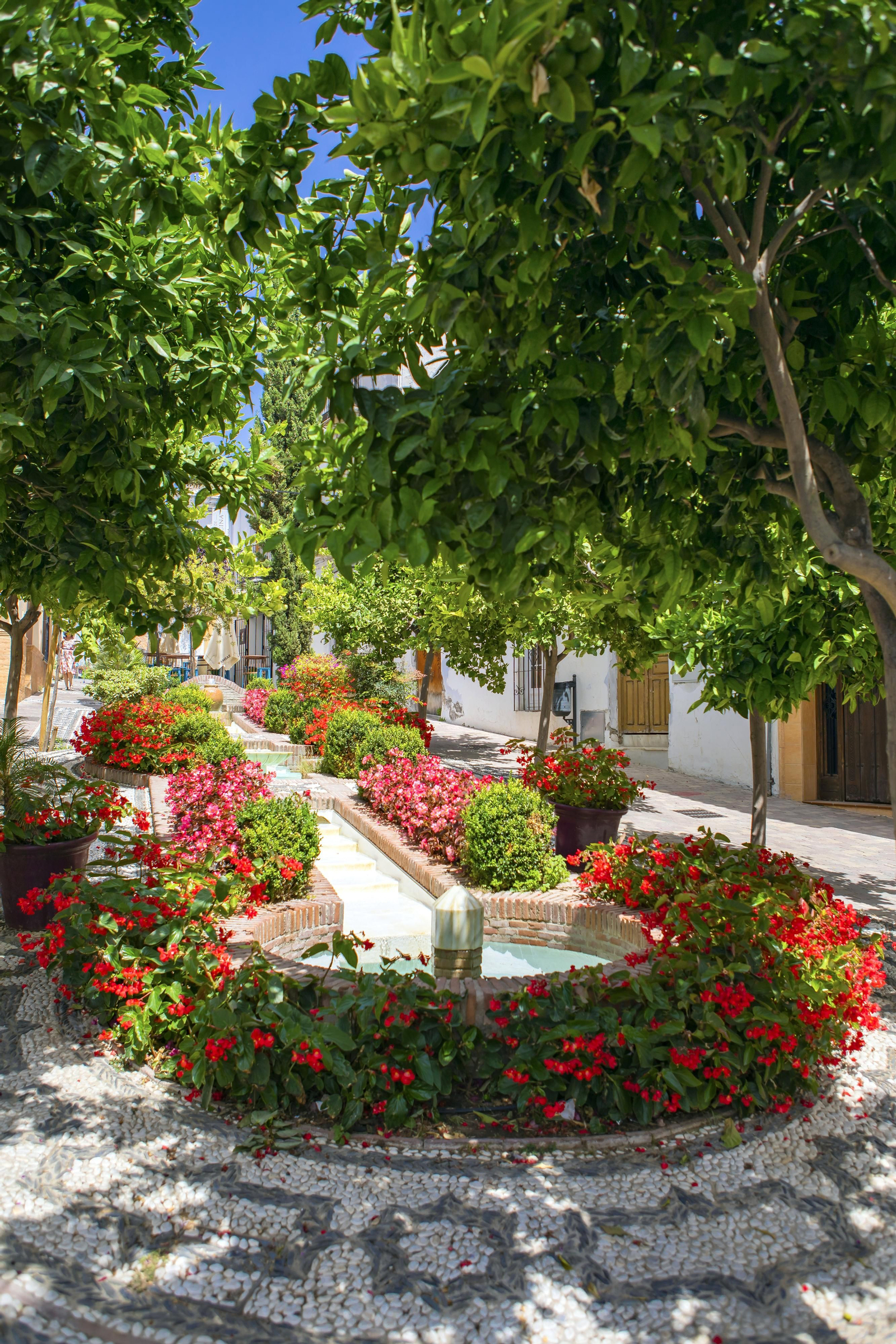 Vista de la Plaza Manuel Alcántara.