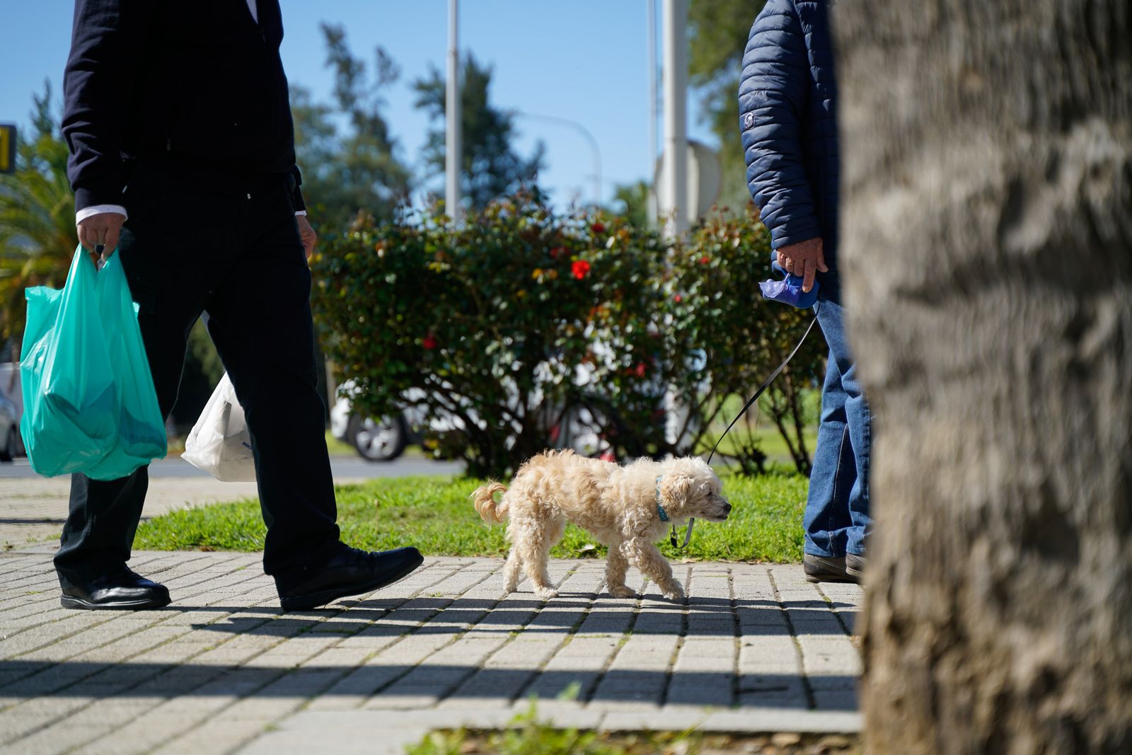 Las imágenes más destacadas del martes 25 de marzo en Huelva