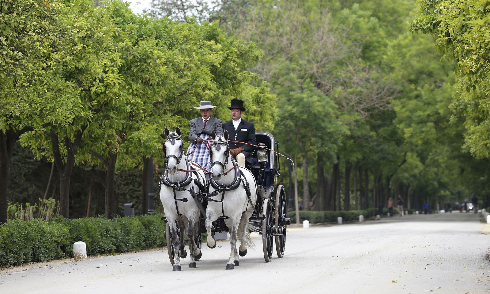 El concurso de enganches, en imágenes