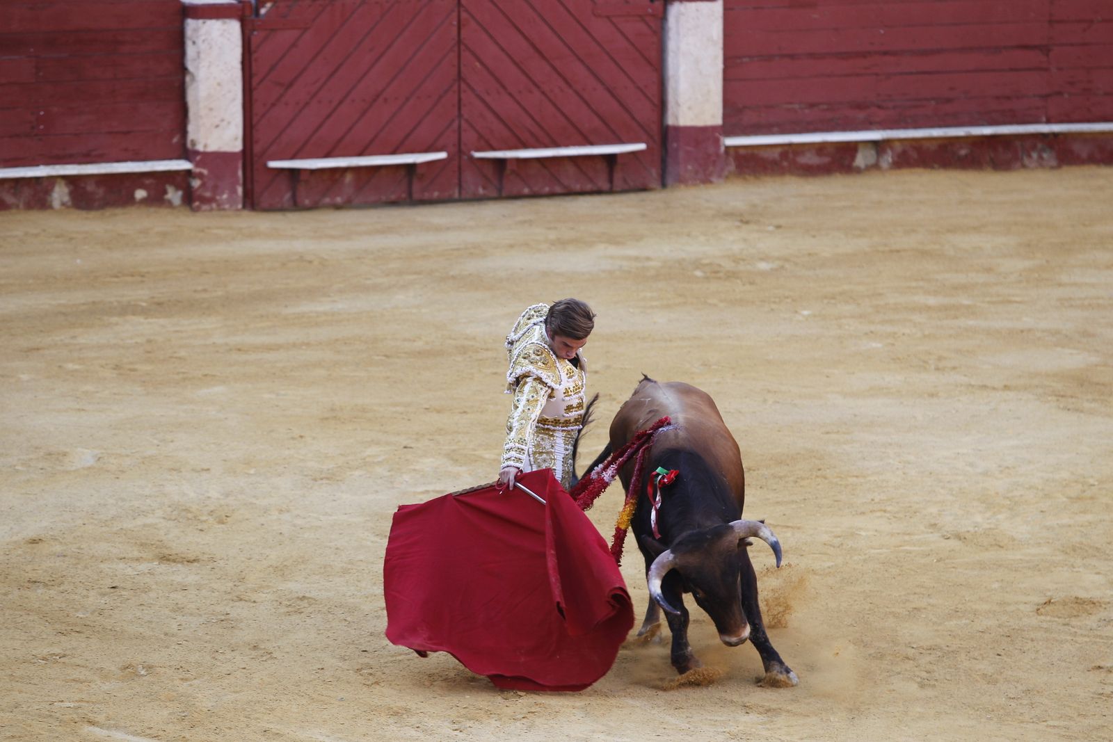 Fotogalería novillada Escuela Taurina de Almería. Feria de Almería 2019