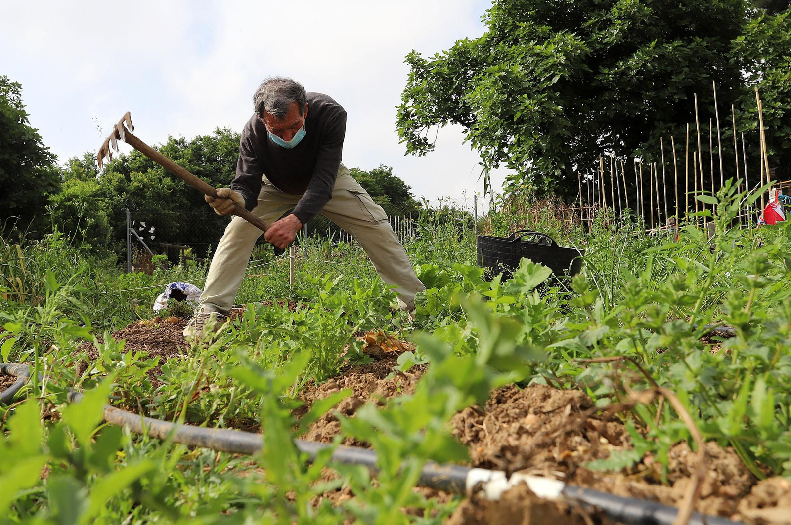 Las imágenes más destacadas del primer día de la fase cero