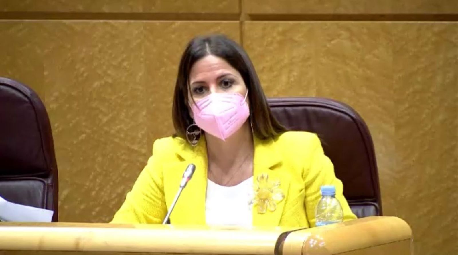 La senadora del PSOE, Inés Plaza.