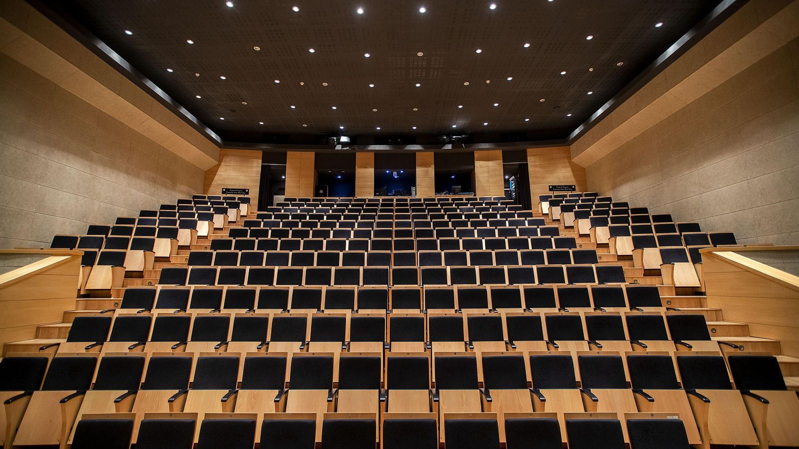 Auditorio Lázaro Dou, la sala de mayor aforo.