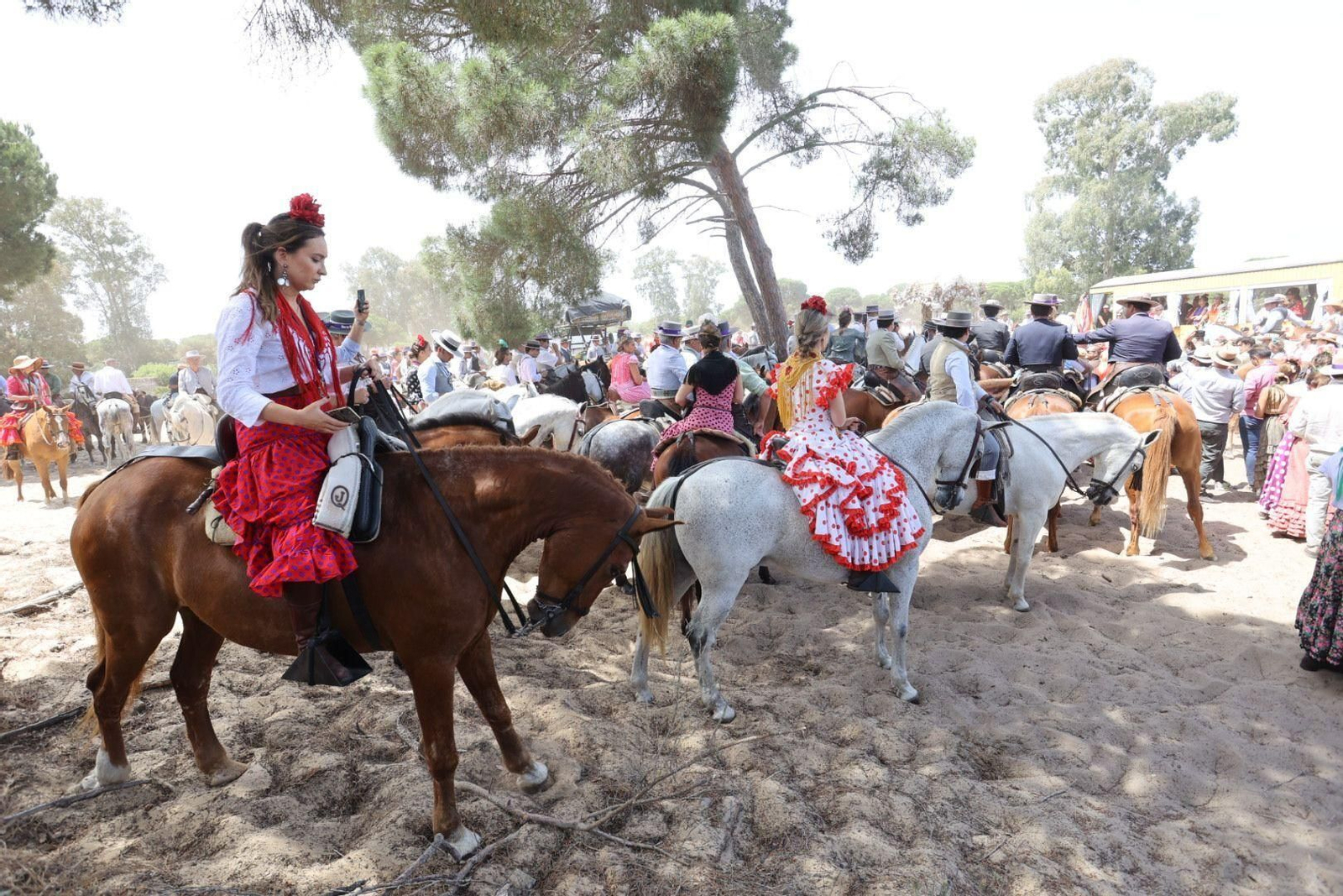 Imágenes de la Hermandad del Rocío de Jerez el jueves por el Coto