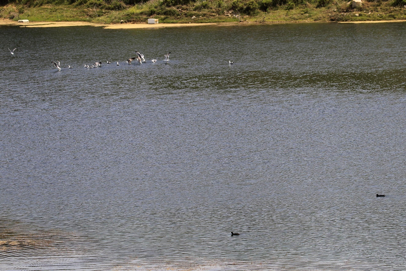 La laguna de la Huerta de las Pilas.