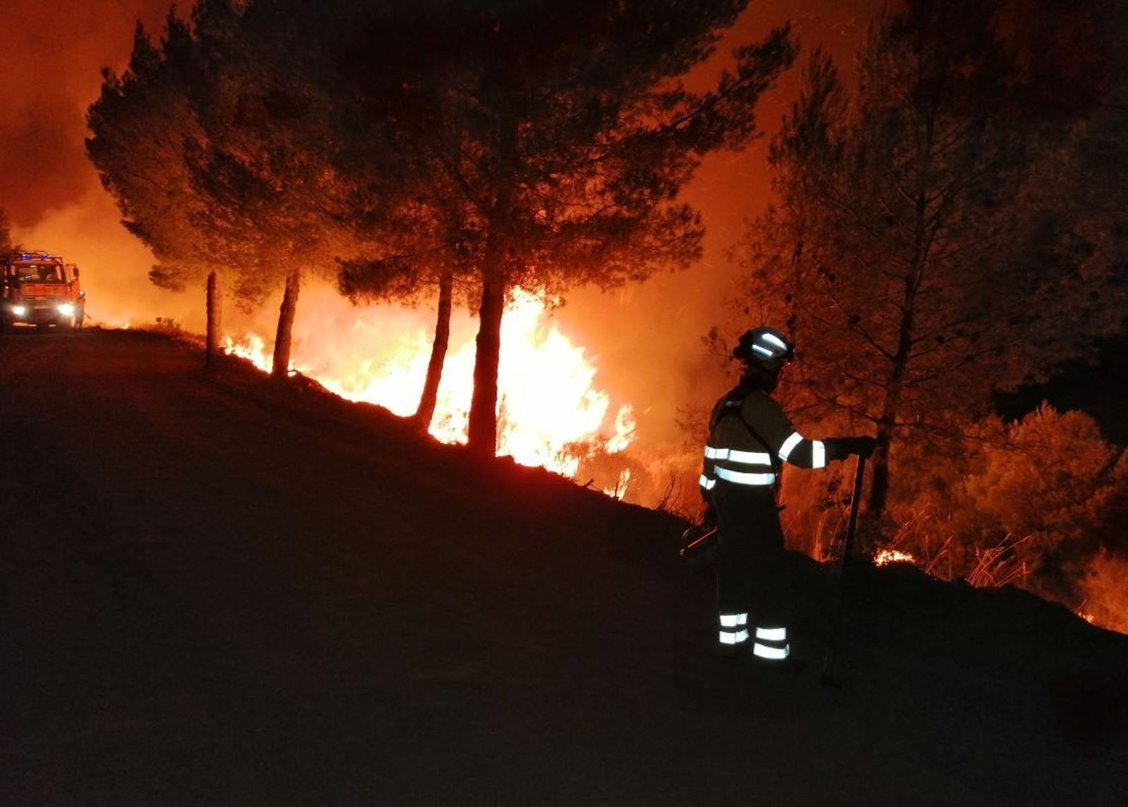 Un millón para restaurar la zona afectada por el incendio de Terque de 2019