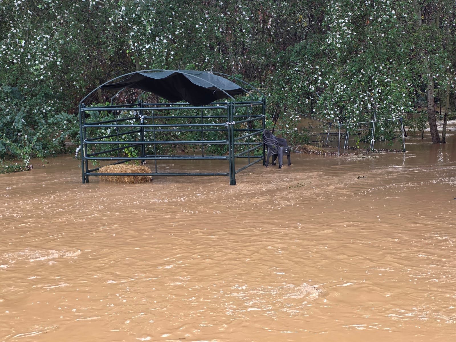 Instalaciones inundadas de El Burrito Feliz.