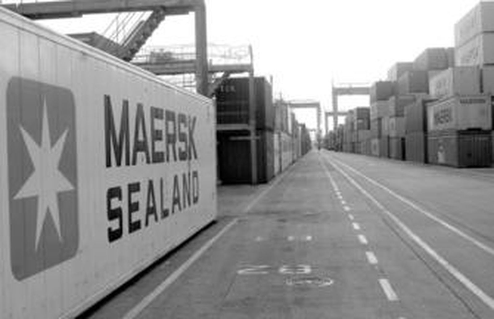 Contenedores apilados en la terminal gestionada por APM Terminals, en el muelle Juan Carlos I del puerto de Algeciras.