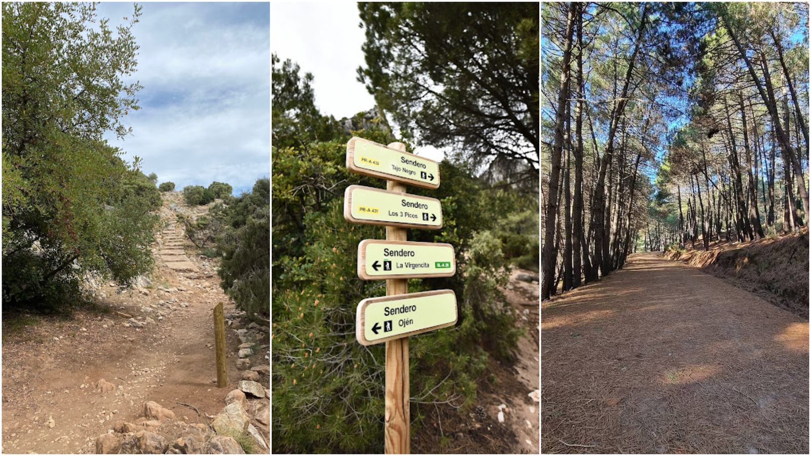 Parte el trayecto de la ruta.