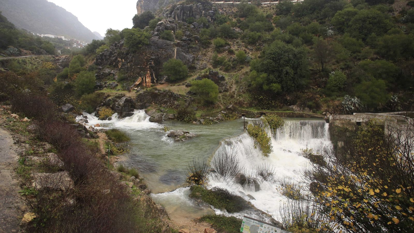 Nacimiento de la Estación de Benaoján.