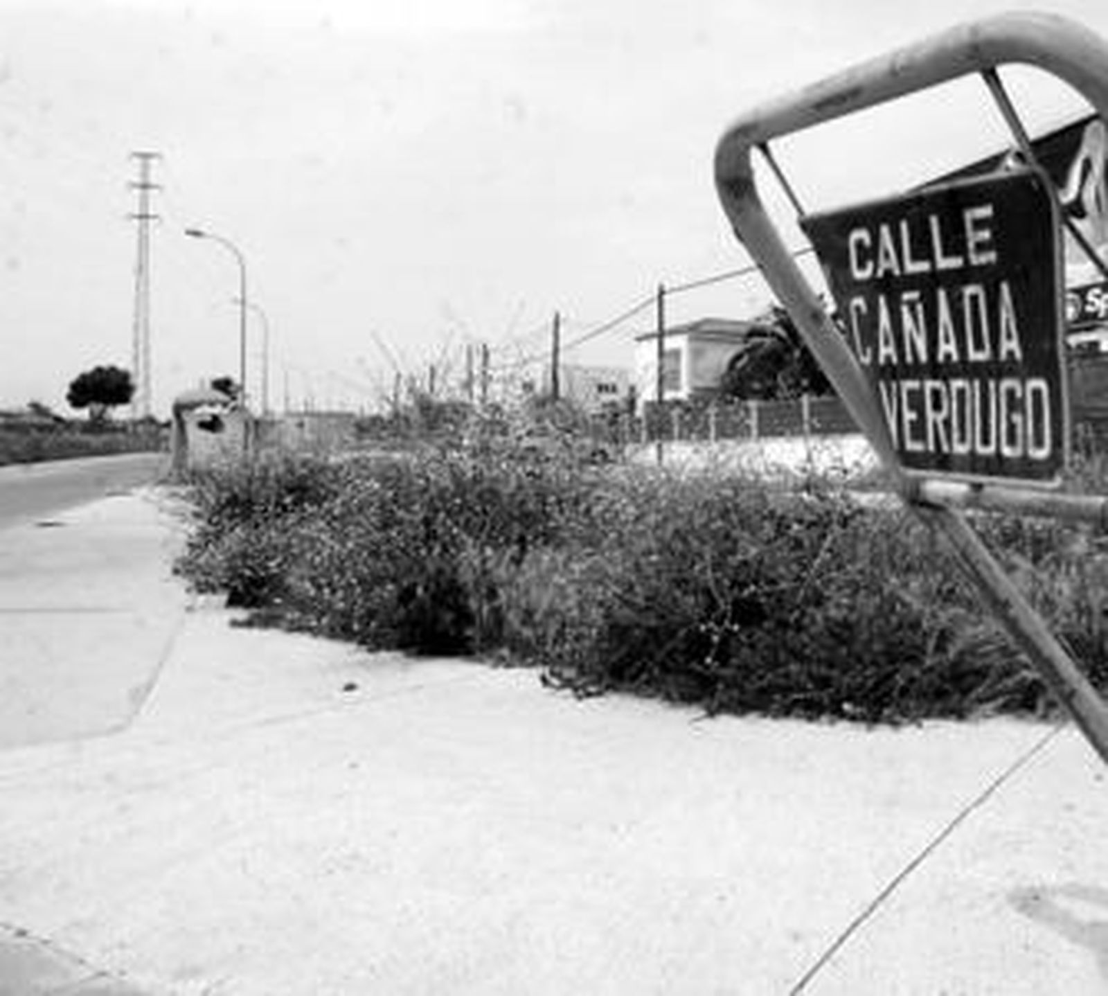 La ronda de circunvalación proyectada discurriría por un importante tramo de la cañada del Verdugo.
