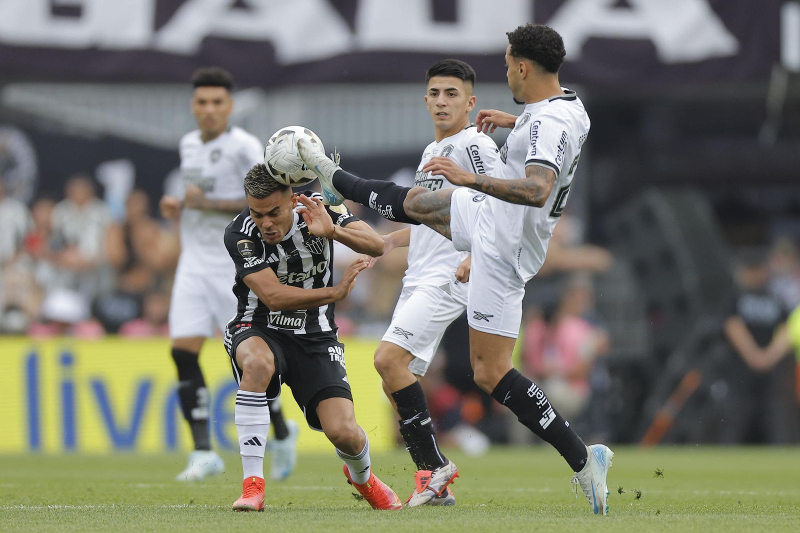 Las fotos de una final de la Libertadores histórica; Botafogo, campeón con 10, ante Atlético Mineiro
