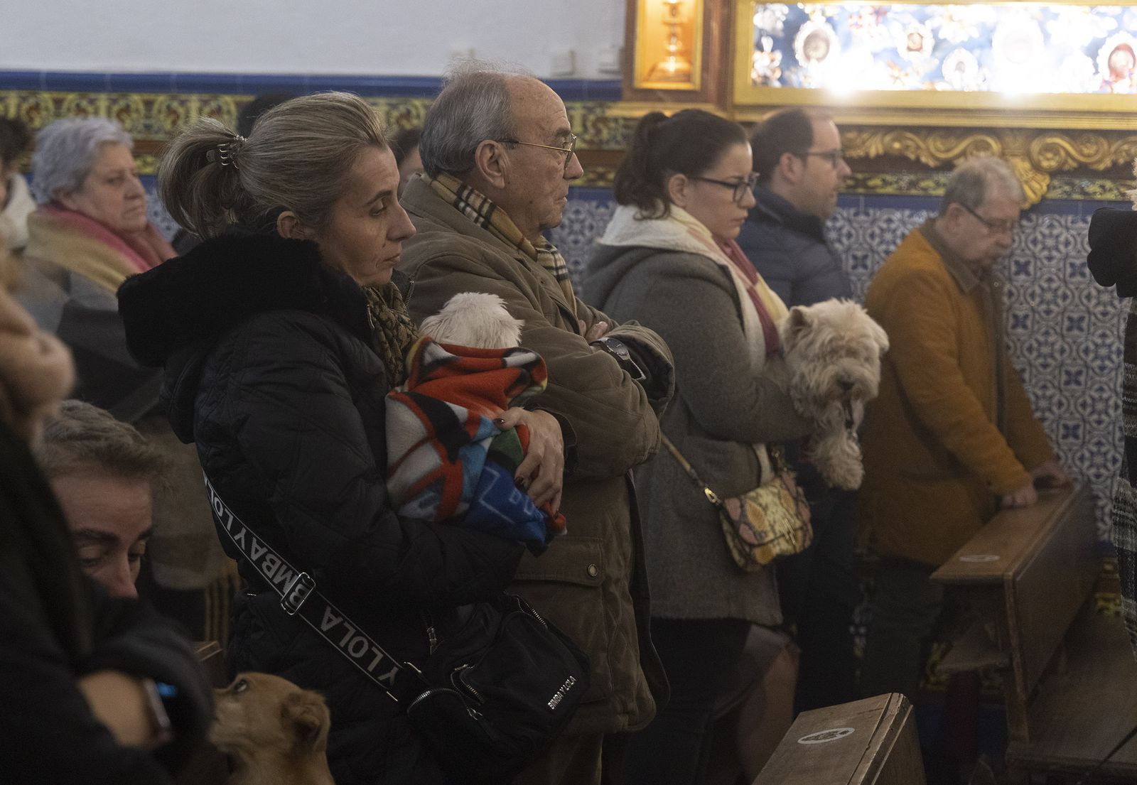 Bendición de animales por San Antón en la Divina Pastora, todas las fotos