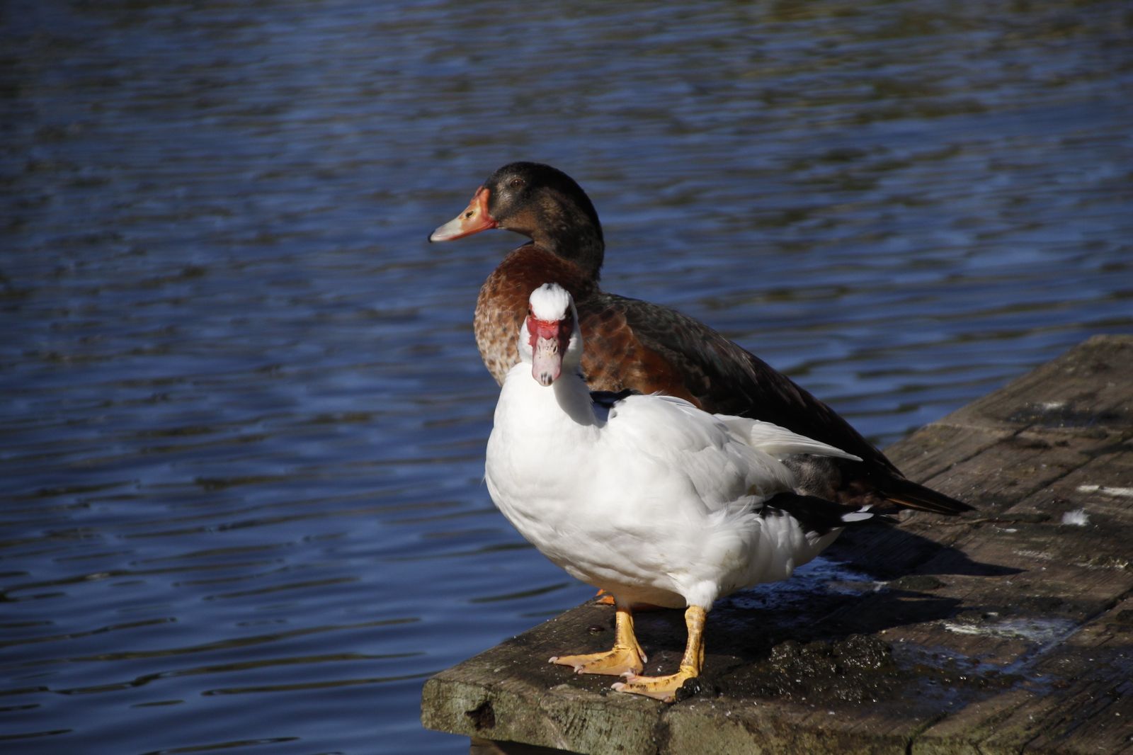Imágenes del viernes 1 de diciembre