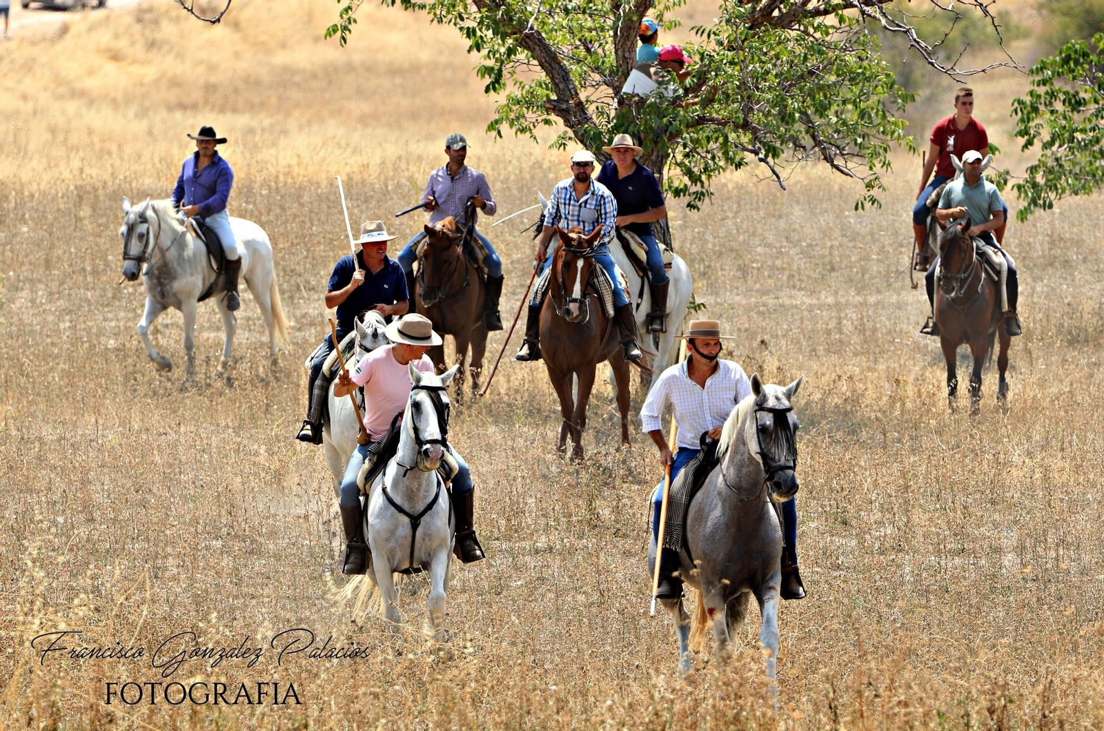 Saltos y fintas de vértigo en los encierros de Santiago de la Espada, en imágenes