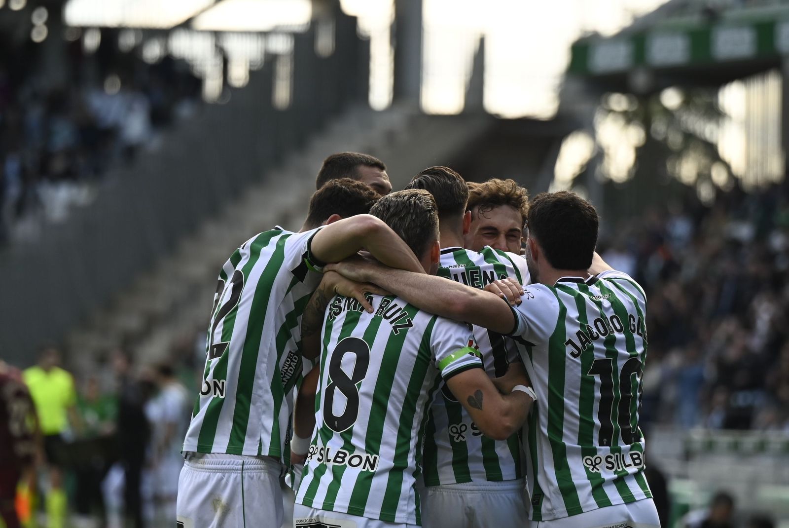 Los jugadores del Córdoba celebran el gol de Goti ante el Leganés.