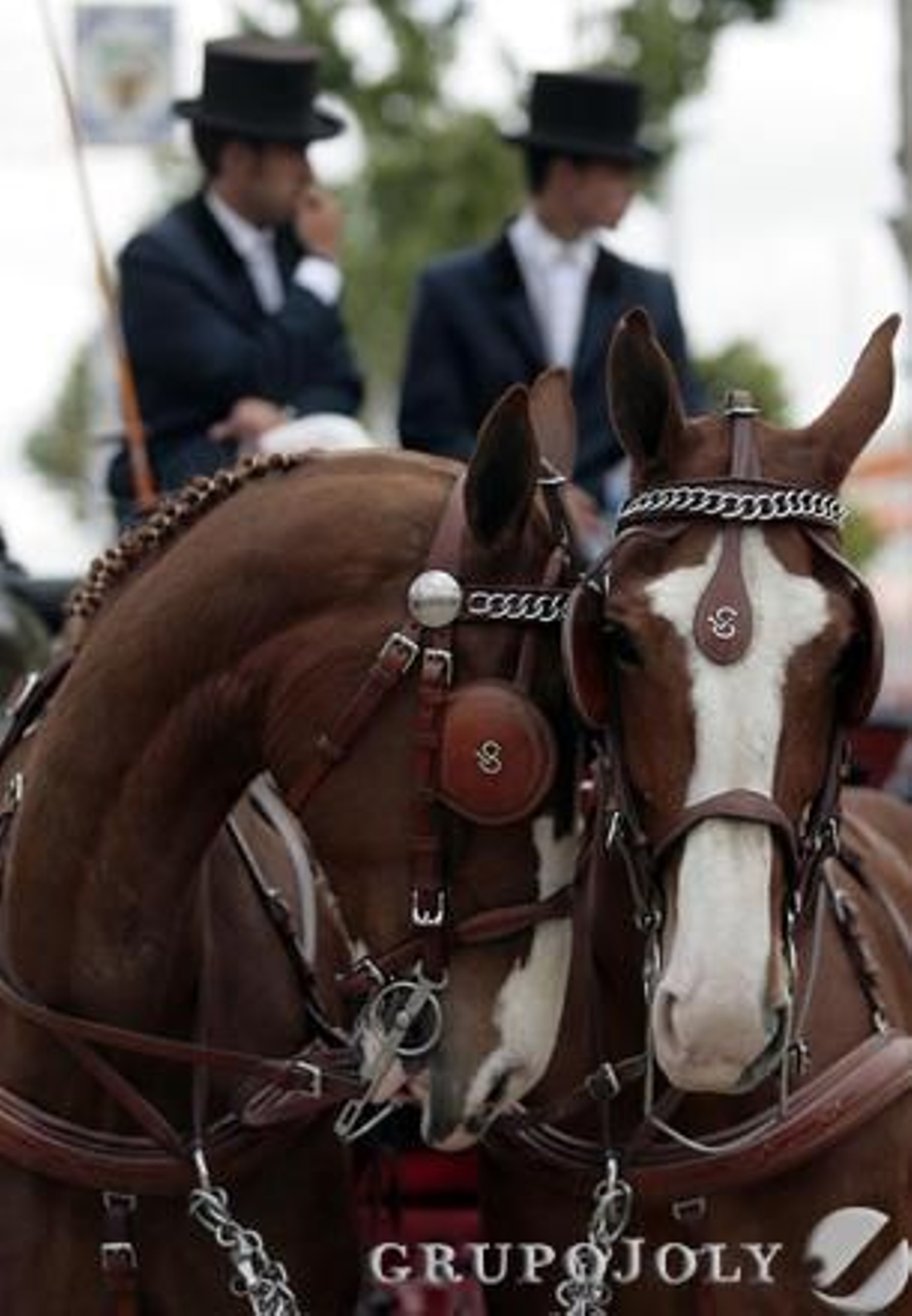 Foto: Juan Carlos Muñoz