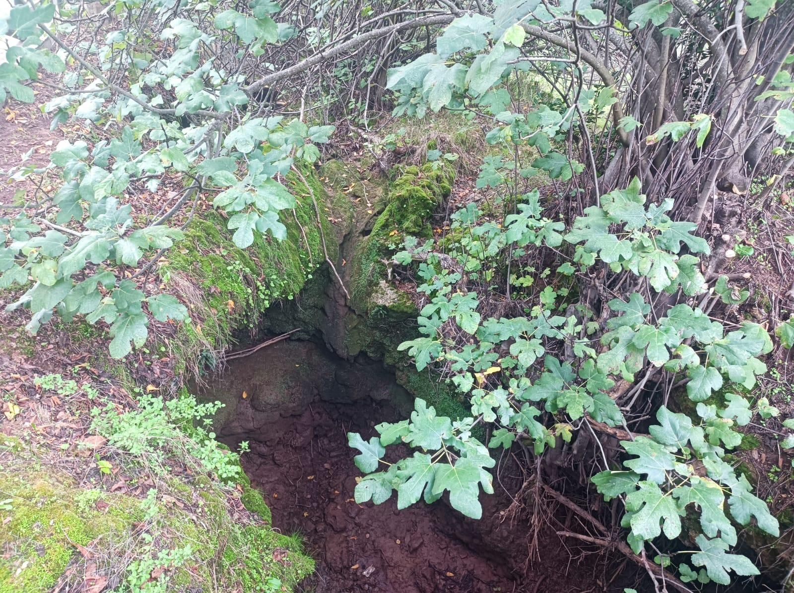 Avanzamos por el Barranco de la Madrona.