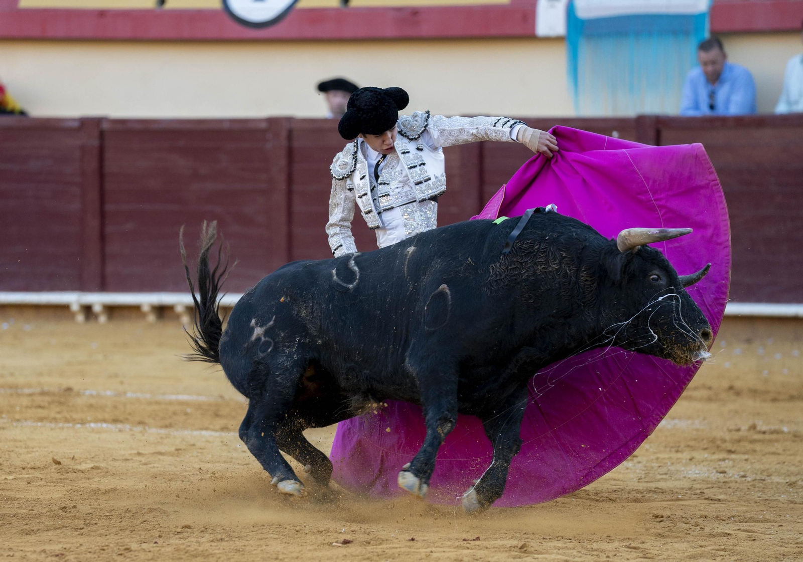 Las imágenes de los toros en Vera
