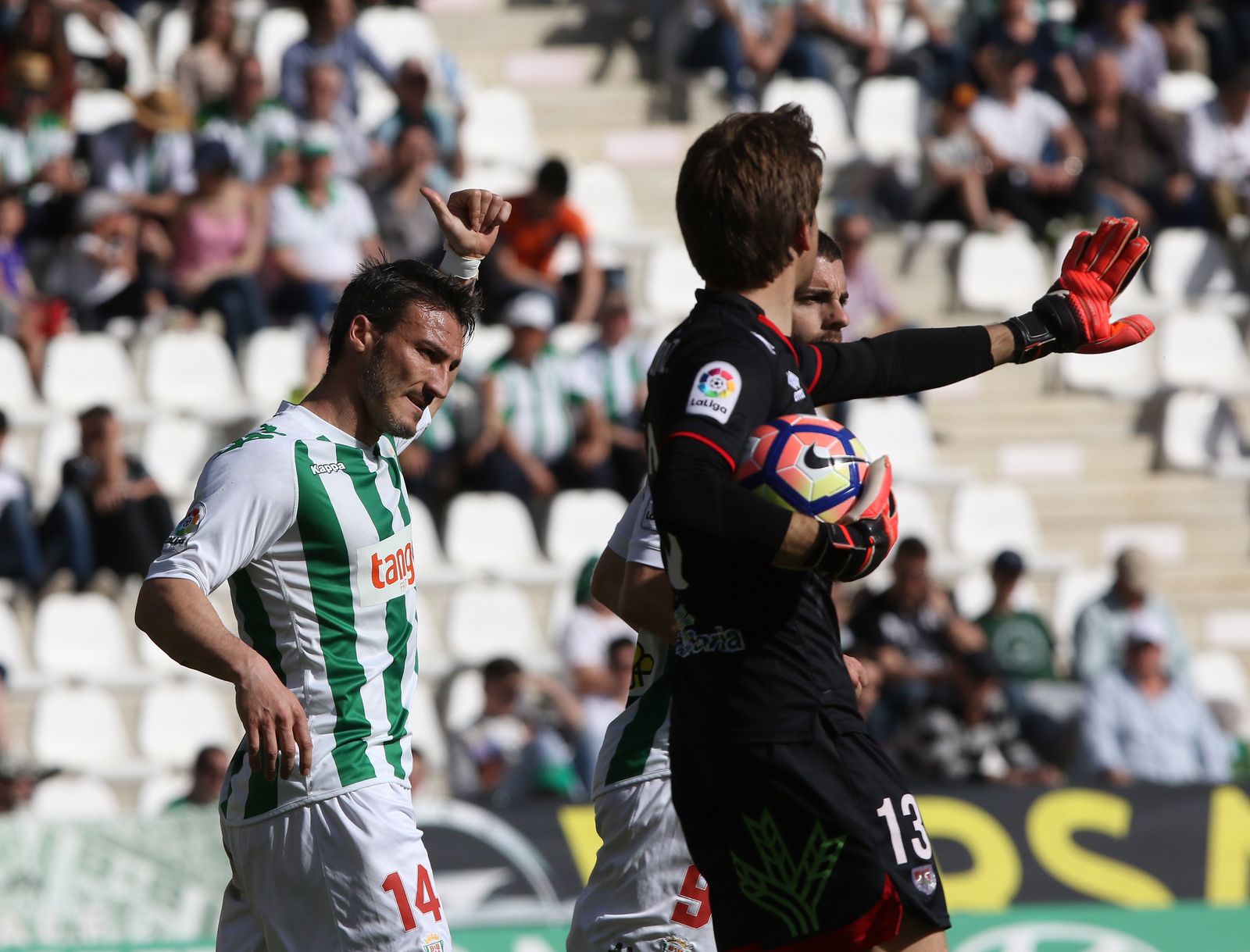 El Córdoba CF-Numancia, en imágenes
