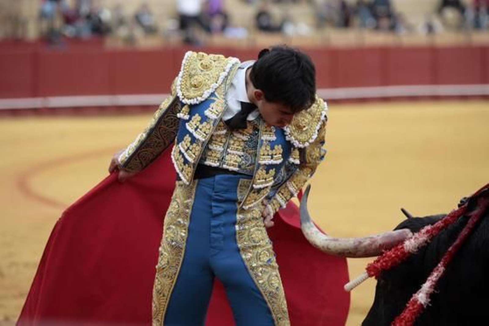 Jiménez Fortés, con el tercer toro de la ganadería de El Ventorrillo.

Foto: Juan Carlos Muñoz