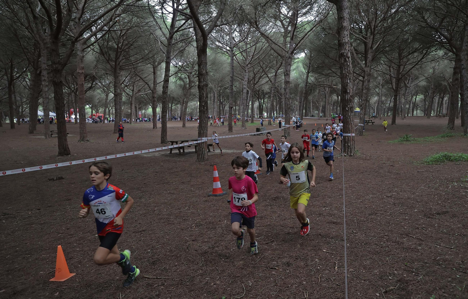 Búscate en el V Cross Pinar del Rey en San Roque