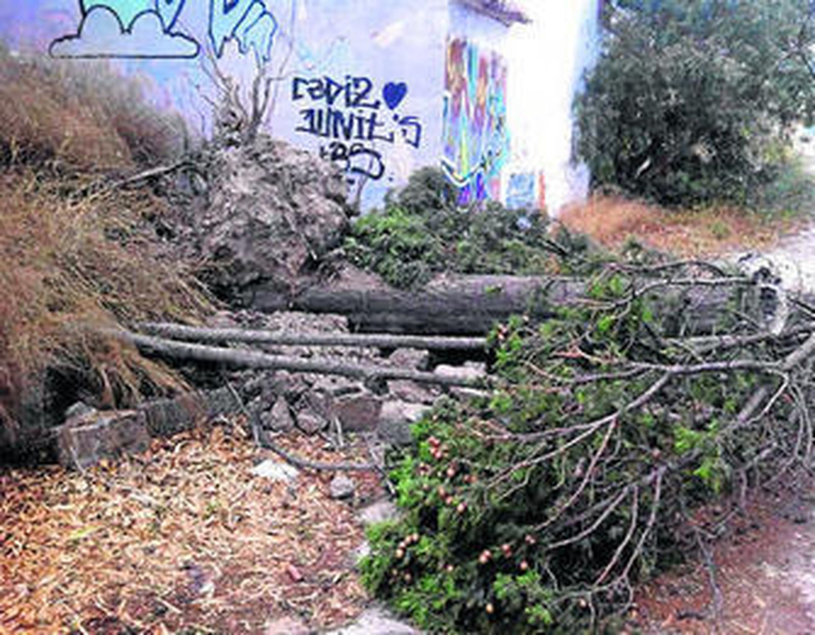 Las fuertes rachas de viento superaron los 70 kilómetros por hora.