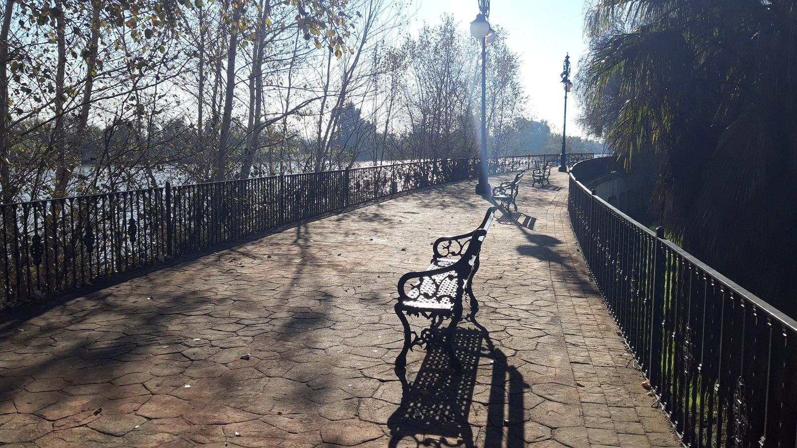 Ruta por la ribera del Guadalquivir entre Sevilla y Coria del Río