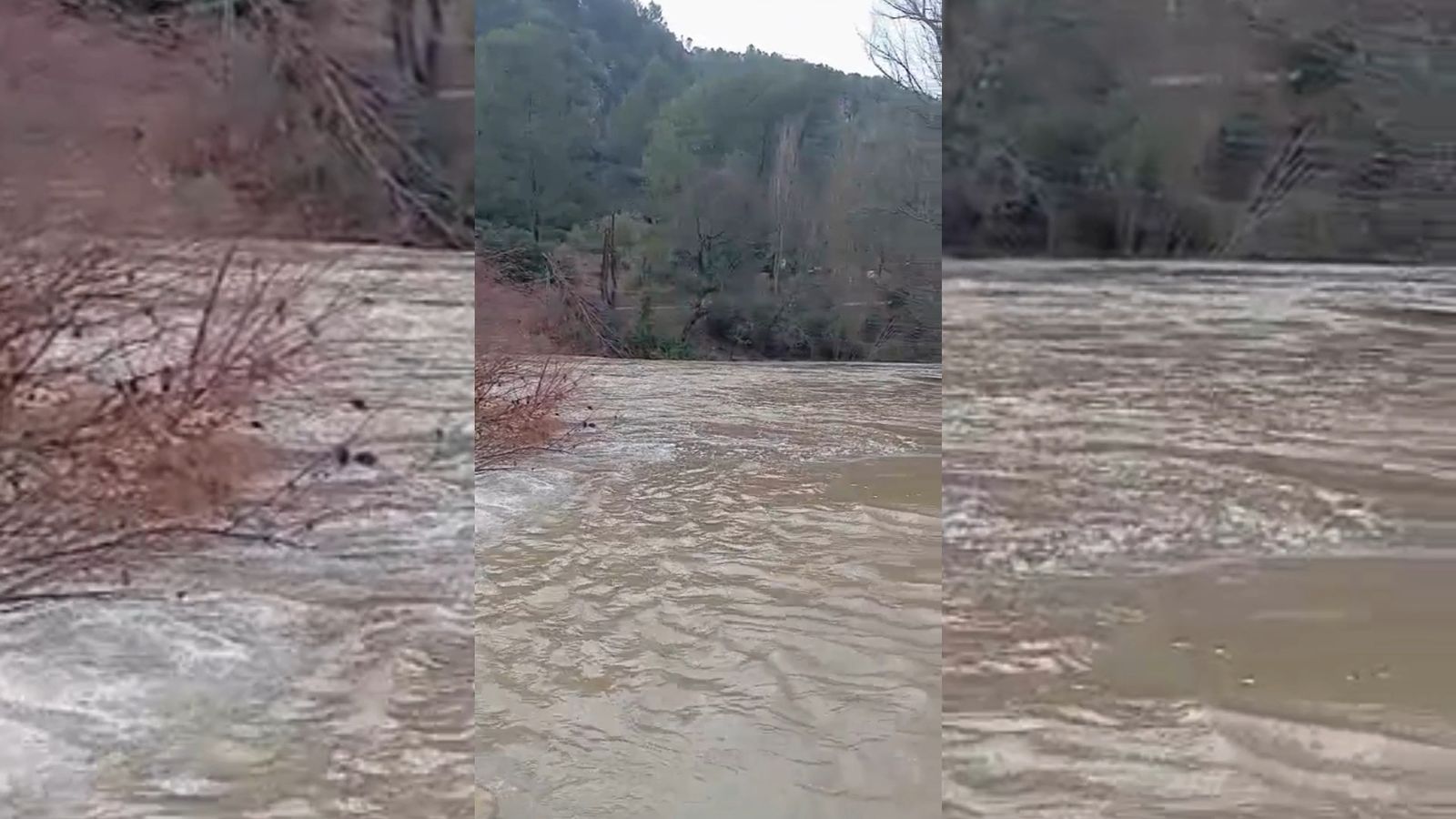 El río Guadalquivir se desborda a su paso por Coto Ríos