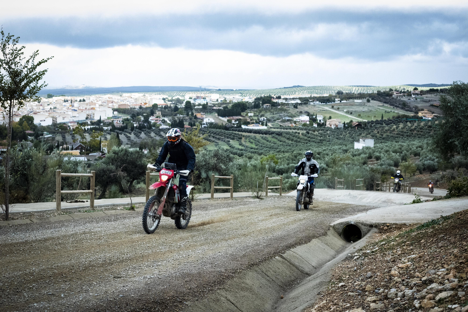 ¿Estuviste en la tercera edición de la ruta Olivobook? Búscate