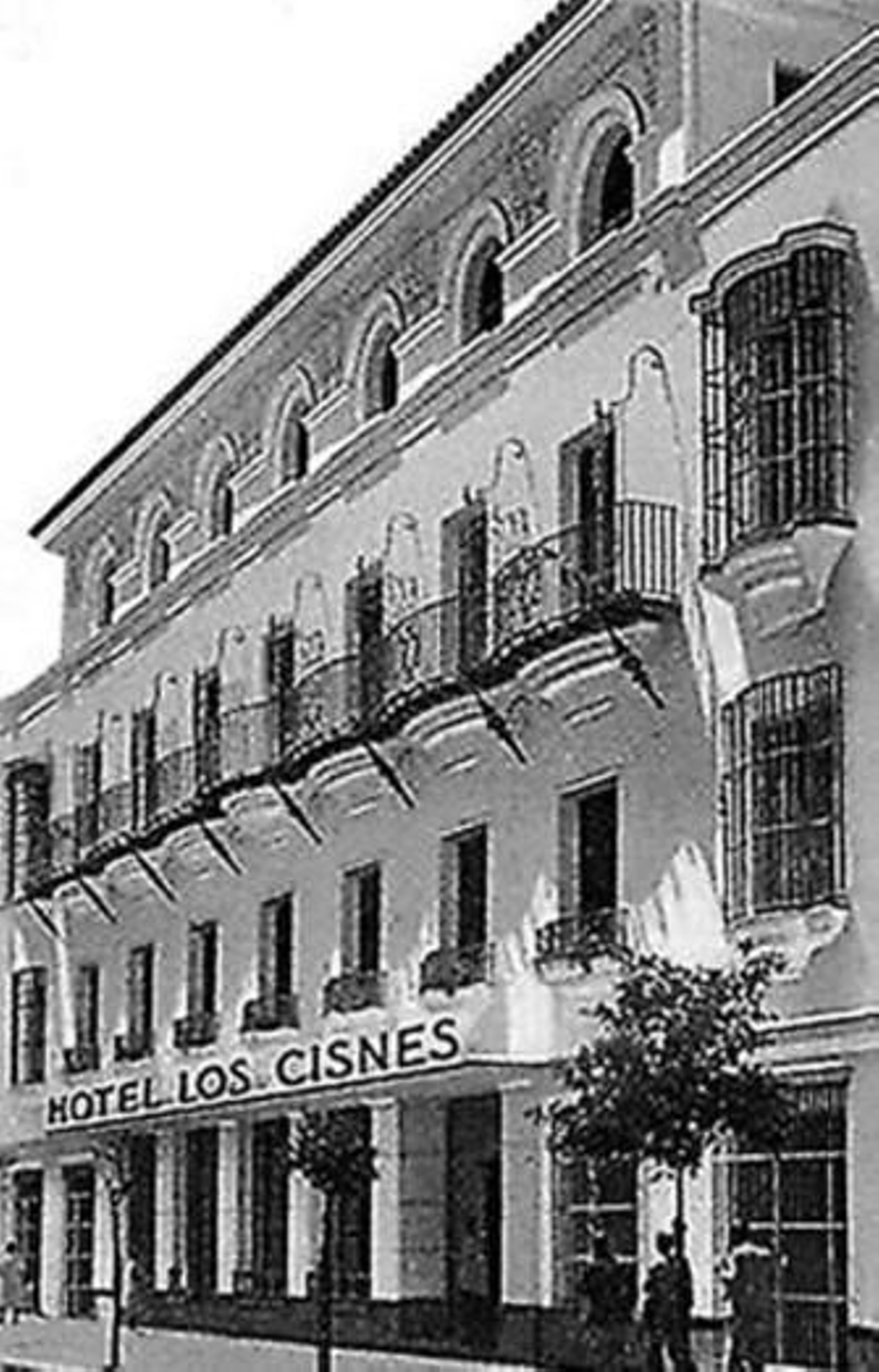 El Hotel 'Los Cisnes' El Hotel 'Los Cisnes'