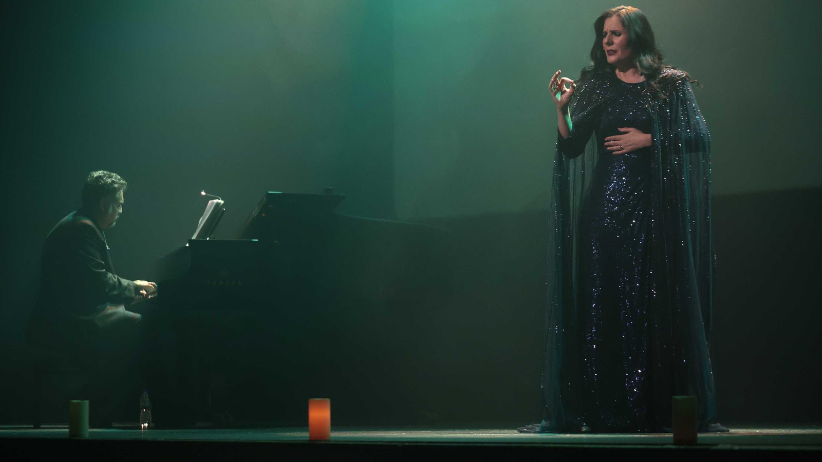 Las fotos del concierto de Diana Navarro