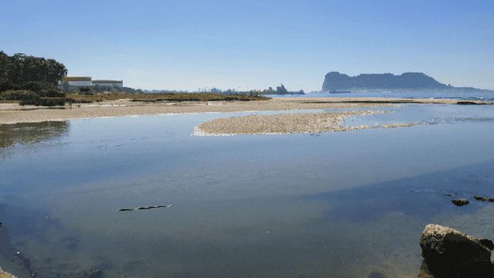 Humedal del rio Guadarranque