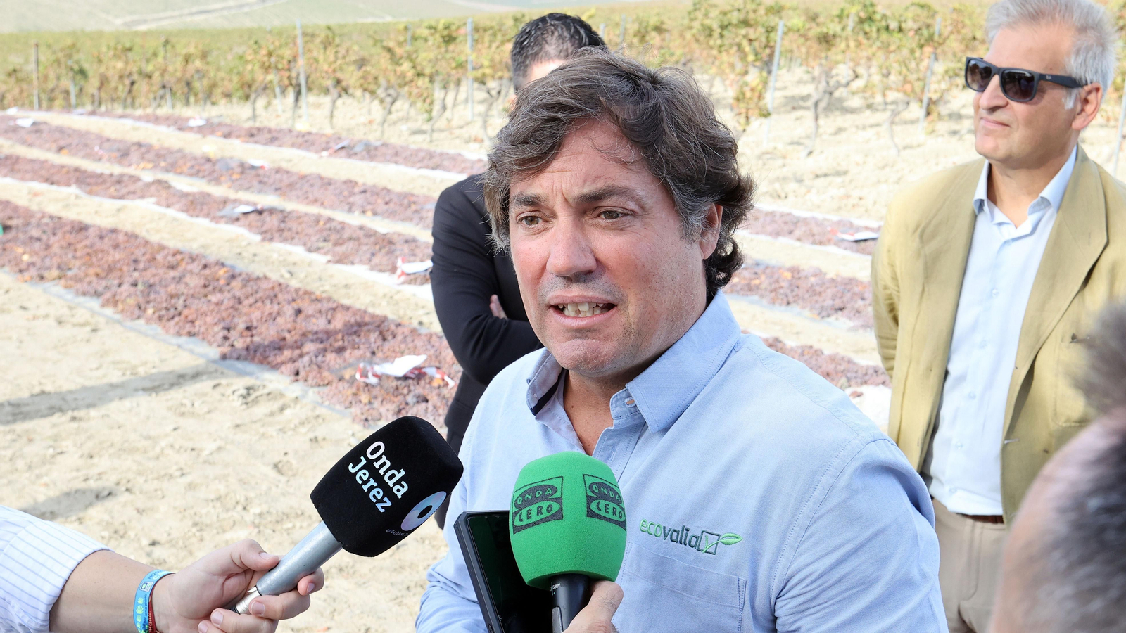 Vinos ecológicos con uva Pedro Ximénez