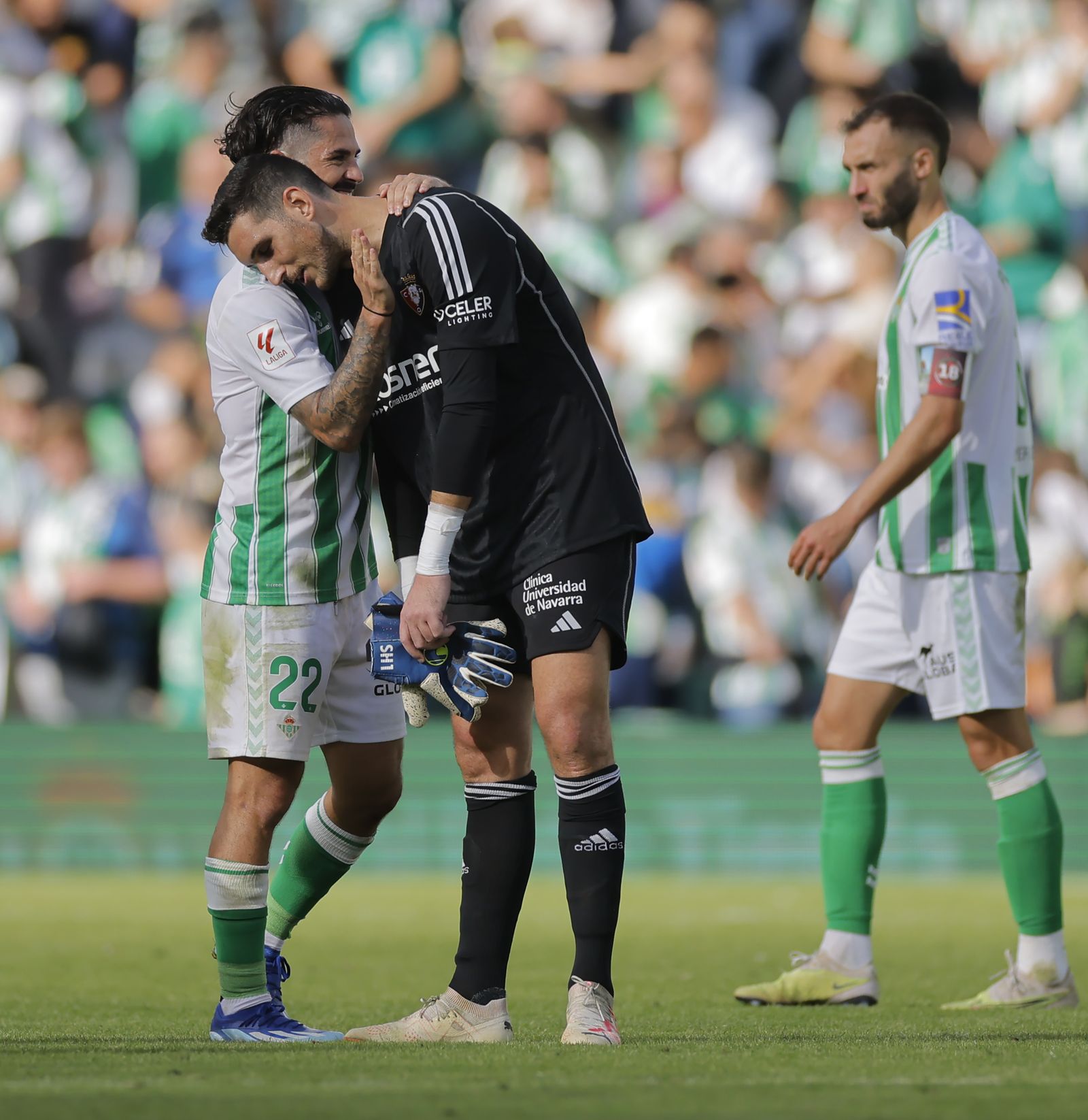 Las fotos del Betis-Osasuna