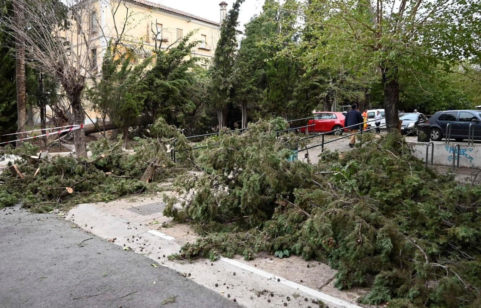 Los daños causados por la borrasca Bernard en Córdoba, en imágenes