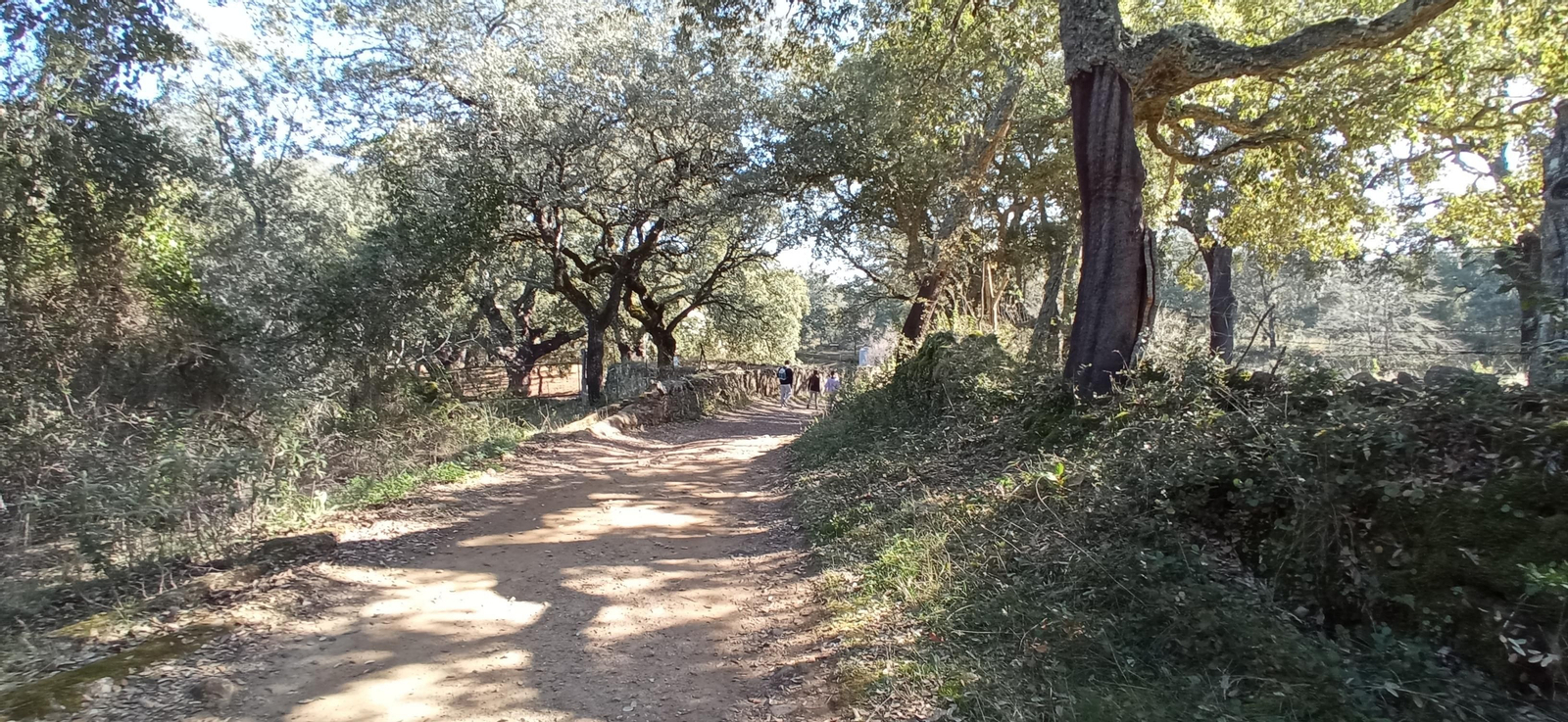 Las imágenes de la ruta de la cascada de Jollarancos y bosque de las letras