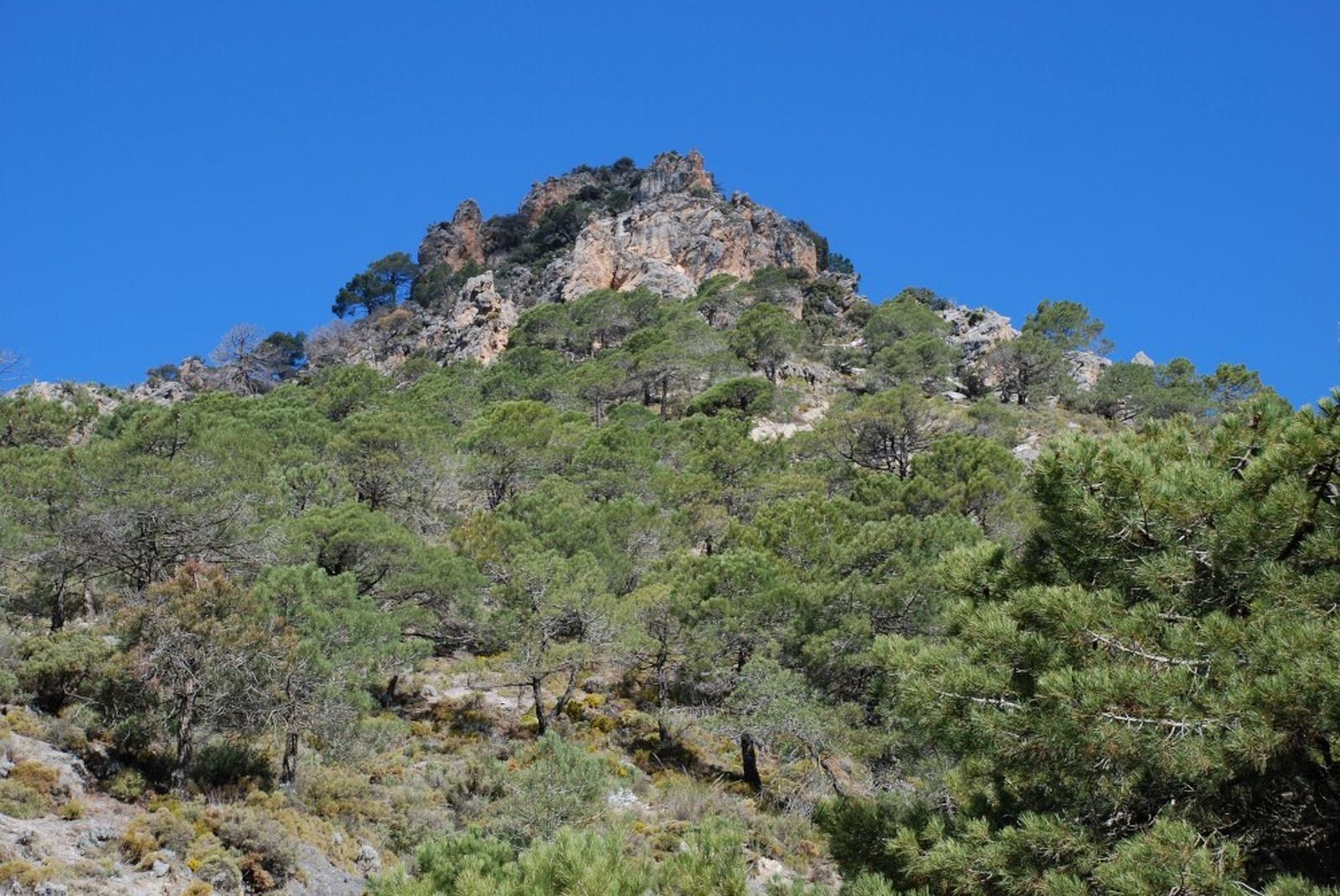 Imagen de archivo del Cerro de Huenes
