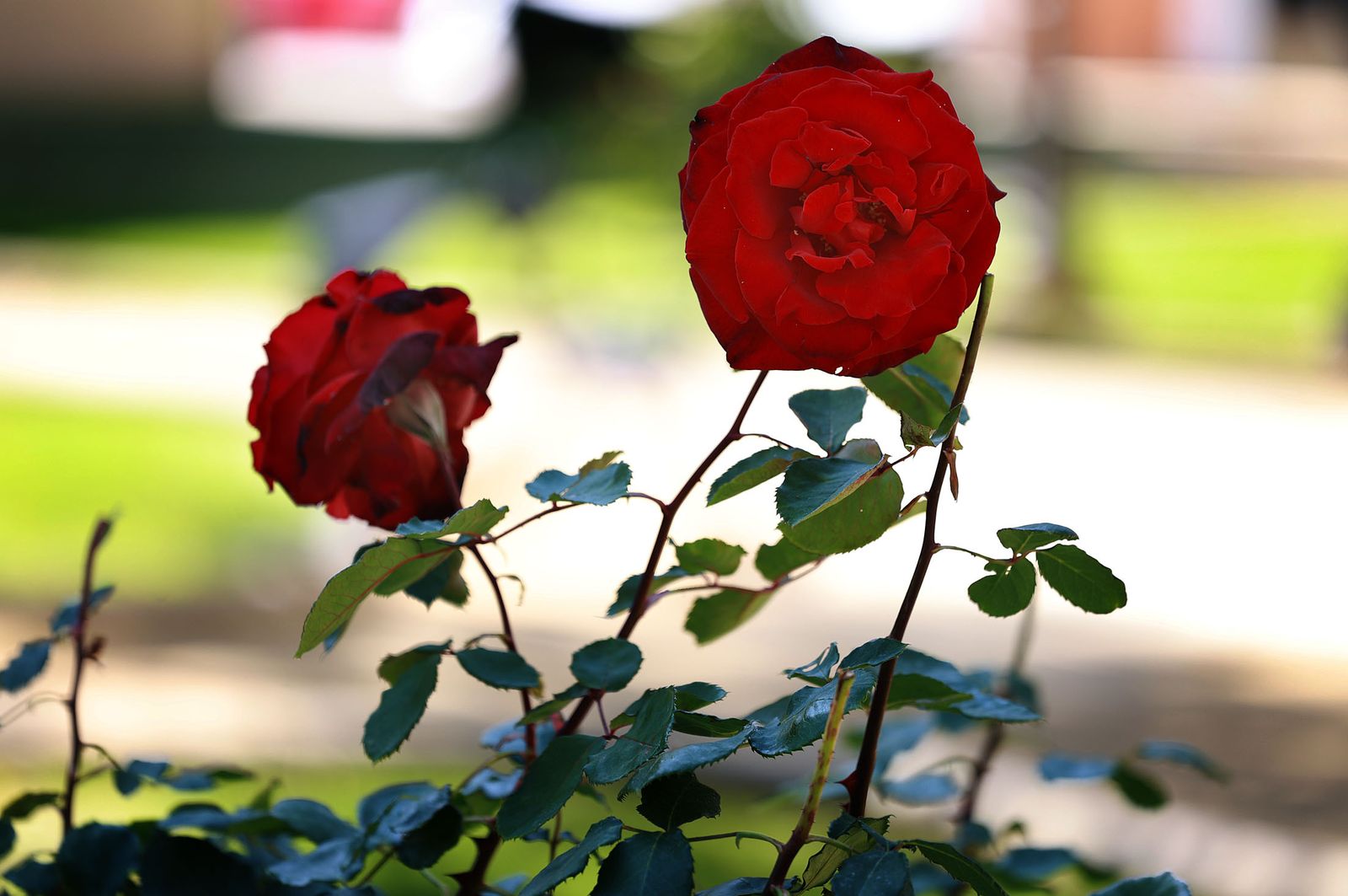 Las mejores imágenes del domingo 12 de mayo en Huelva