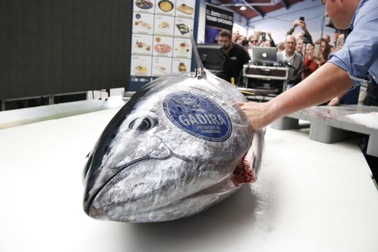 Las mejores fotos de la presentación de la Ruta del Atún en La Línea