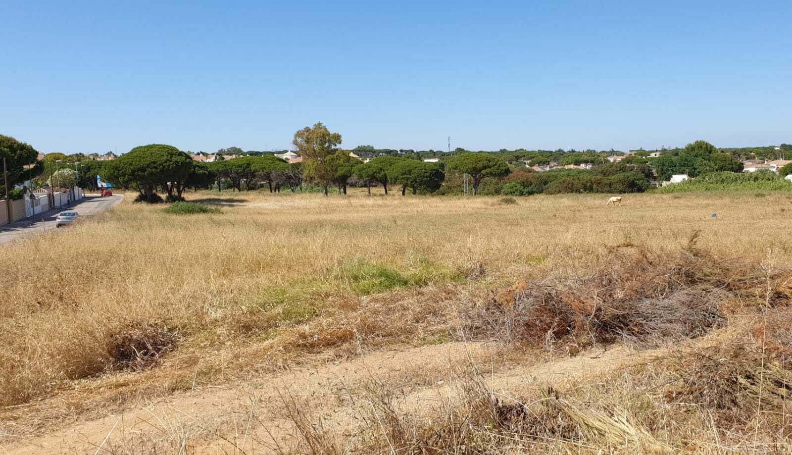 Parcela ubicada entre el Coto la Campa y la zona de El Sotillo donde se llevará a cabo el proyecto de urbanización.